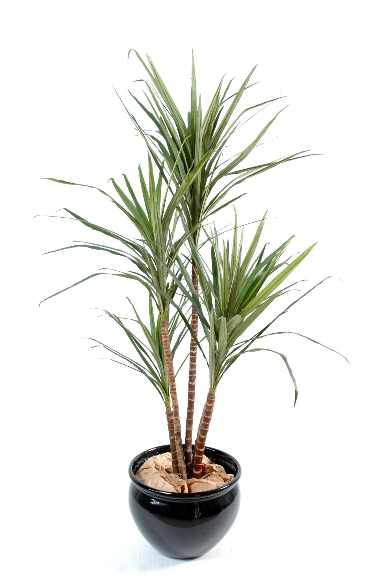 Plante artificielle Dracaena Marginata - décoration d'intérieur - H.160cm vert