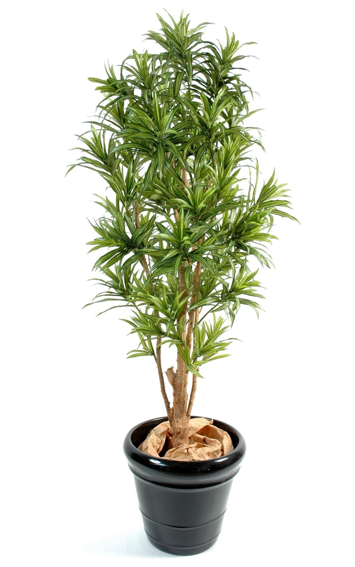 Plante artificielle Dracaena Reflexa - décoration d'intérieur - H.110cm vert