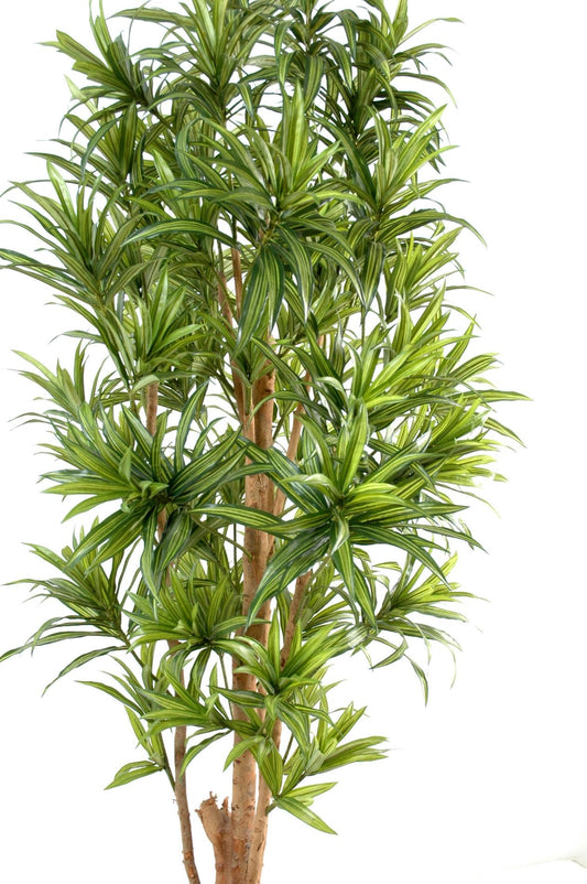 Plante artificielle Dracaena Reflexa - décoration d'intérieur - H.150cm vert