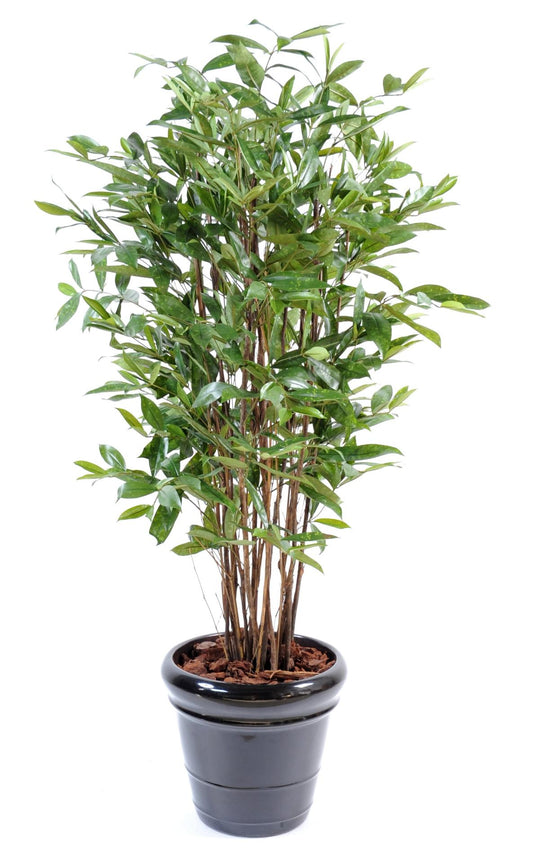 Plante artificielle Dracaena Surculosa - décoration d'intérieur - H.120cm vert