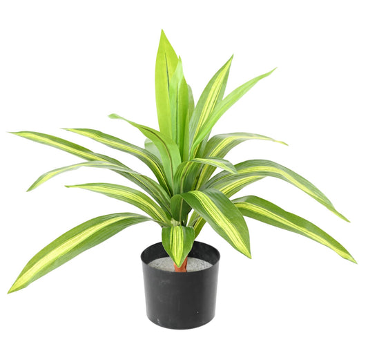 Plante artificielle Dracaena large - décoration d'intérieur - H.55cm panaché