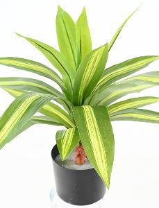 Plante artificielle Dracaena large - décoration d'intérieur - H.55cm panaché