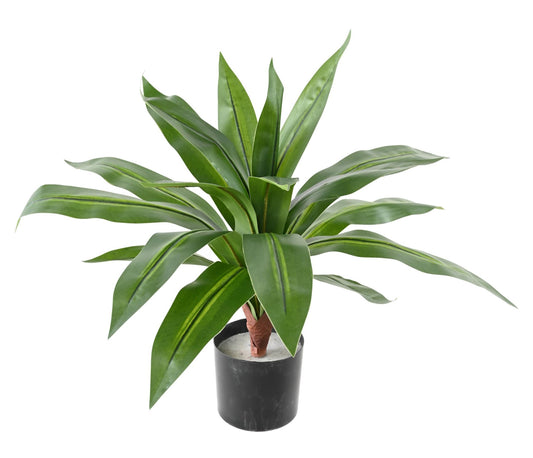 Plante artificielle Dracaena large - décoration d'intérieur - H.55cm vert