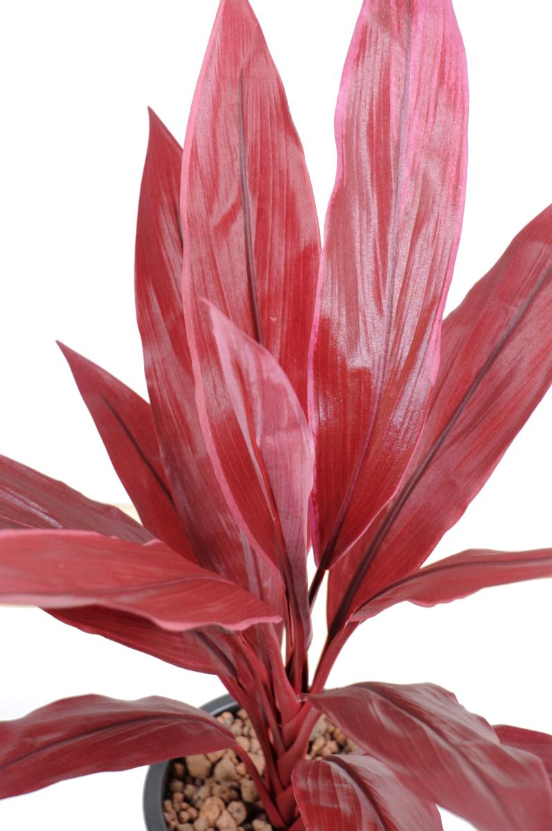 Plante artificielle Dracaena Cordyline en piquet - intérieur - H.60cm rouge