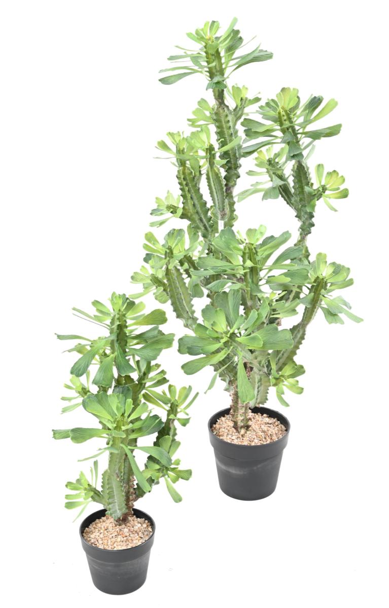 Plante artificielle Euphorbe lactée - Plante pour intérieur - H.110cm vert