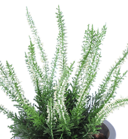 Plante artificielle Fleurie Bruyère plastique en piquet - intérieur extérieur - H. 30cm blanc