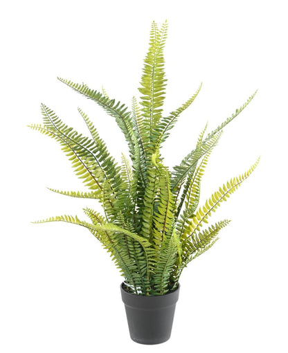 Plante artificielle Fougère Boston Plast. en pot - intérieur - H.75cm vert