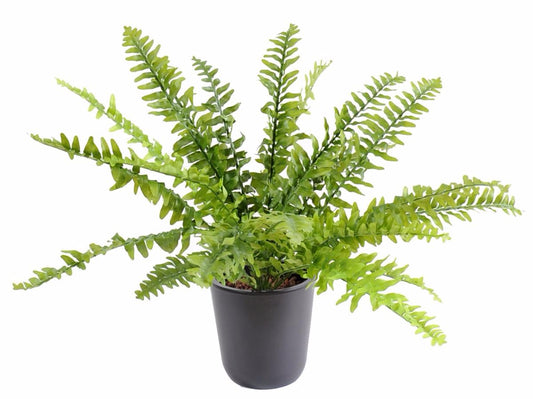 Plante artificielle Fougère Boston en piquet - intérieur - H.48cm Ø.65cm