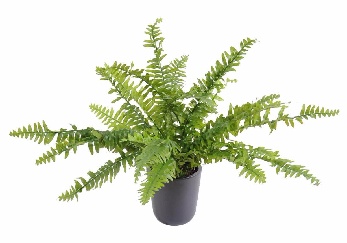 Plante artificielle Fougère Boston en piquet - intérieur - H.56cm Ø.70cm