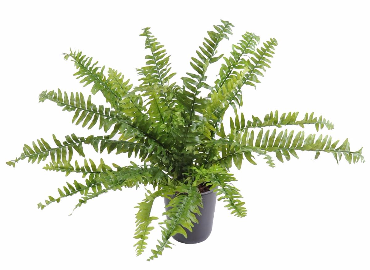 Plante artificielle Fougère Boston en piquet - intérieur - H.65cm Ø.80cm