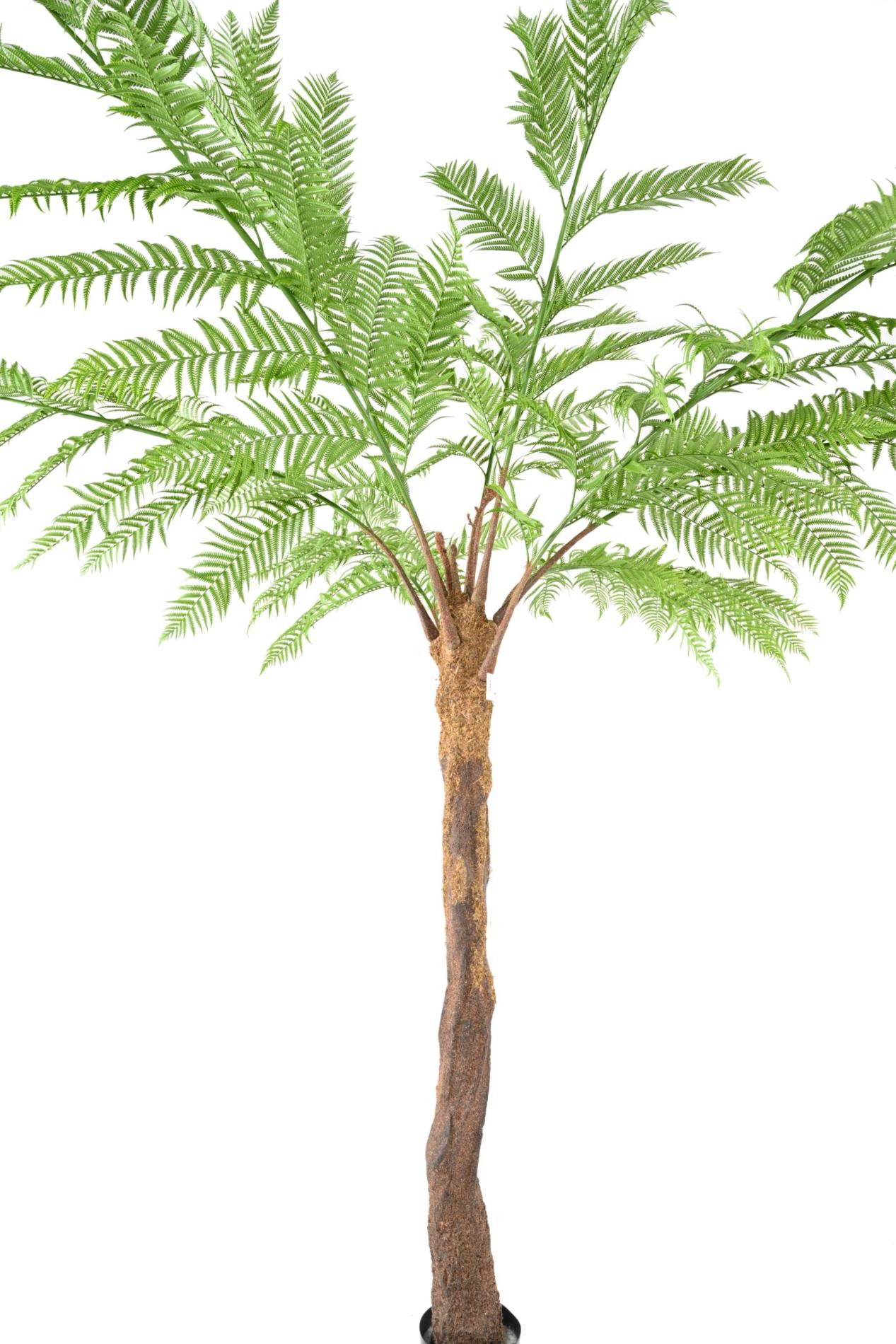 Plante artificielle Fougère Dicksonia 9 branches - décoration d'intérieur - H.320cm