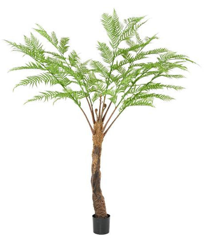 Plante artificielle Fougère Dicksonia 7 branches - décoration d'intérieur - H.240cm
