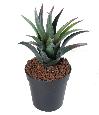 Plante artificielle Furcraea 15 feuilles - cactus artificiel intérieur - H.28 cm vert