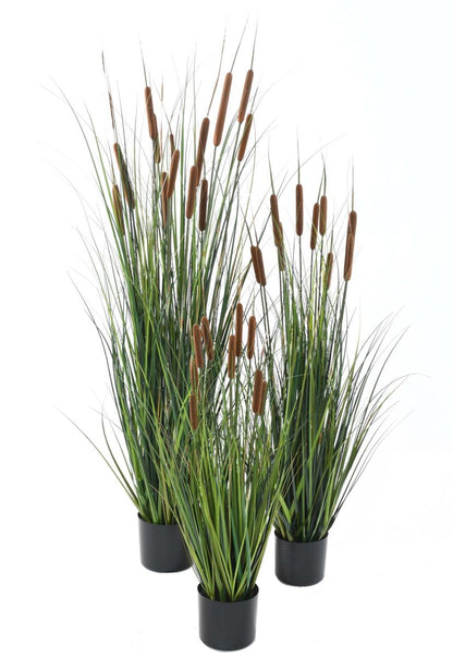 Plante artificielle Graminée Roseau Cattail en pot - décoration d'intérieur - H.120cm