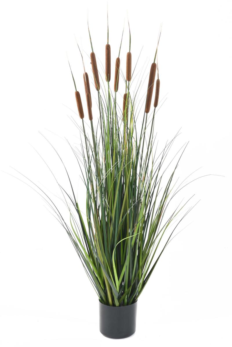 Plante artificielle Graminée Roseau Cattail en pot - décoration d'intérieur - H.120cm