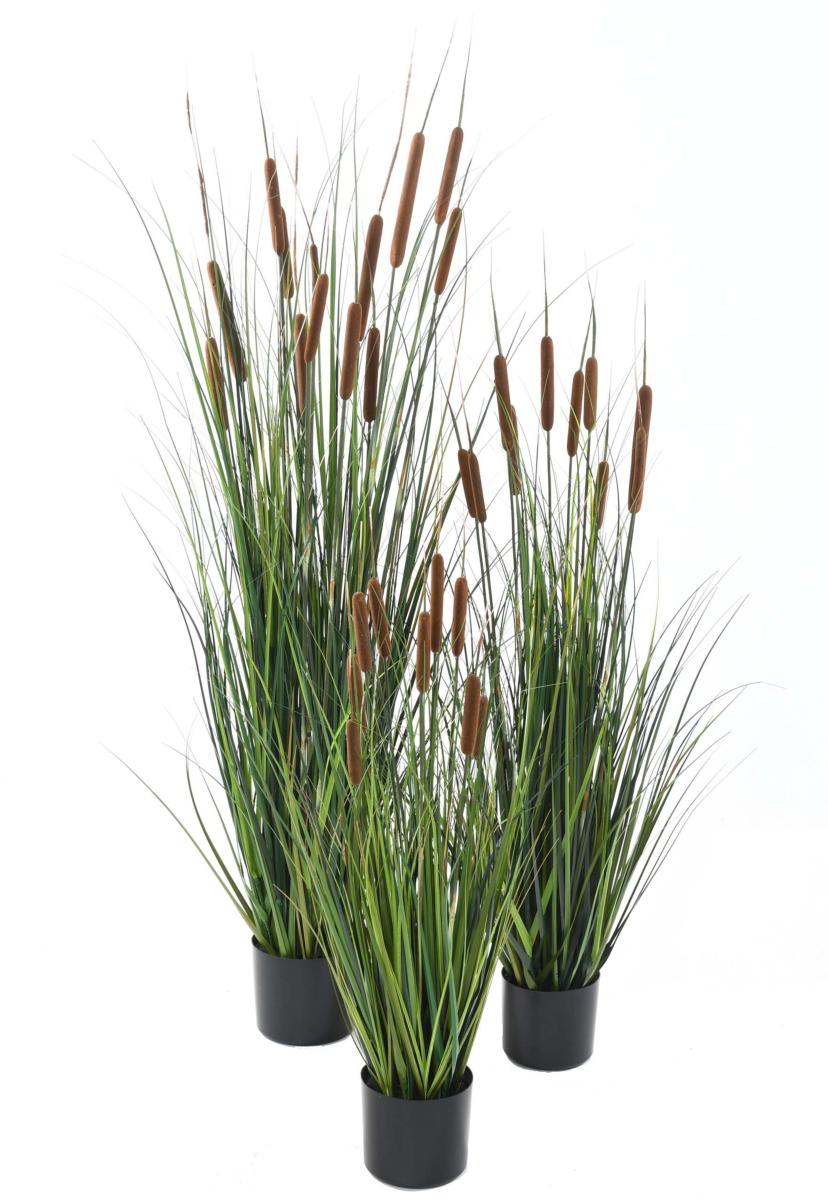 Plante artificielle Graminée Roseau Cattail en pot - décoration d'intérieur - H.150cm