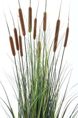 Plante artificielle Graminée Roseau Cattail en pot - décoration d'intérieur - H.120cm