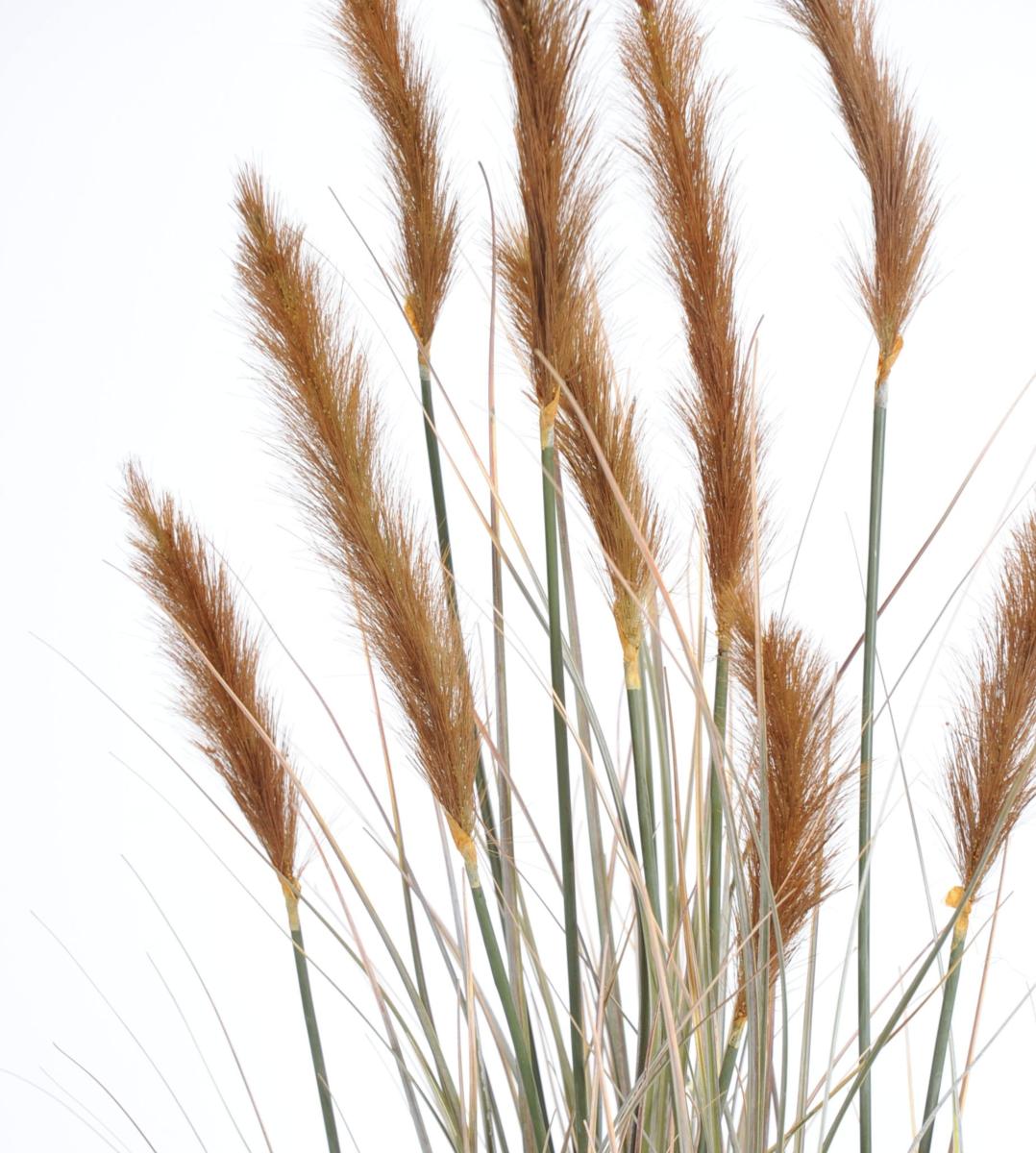 Plante artificielle Graminée Vulpin des champs Foxtail en pot - intérieur - H.90cm brun