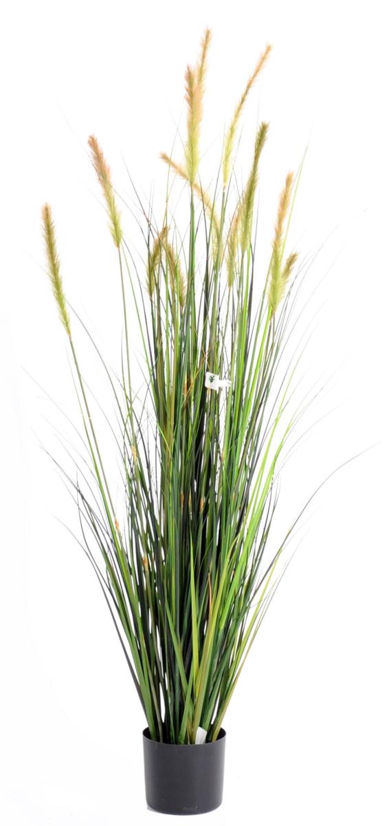 Plante artificielle Graminée Vulpin des champs Foxtail en pot - intérieur - H.150cm