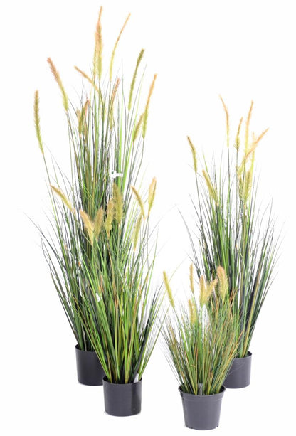 Plante artificielle Graminée Vulpin des champs Foxtail en pot - intérieur - H.90cm