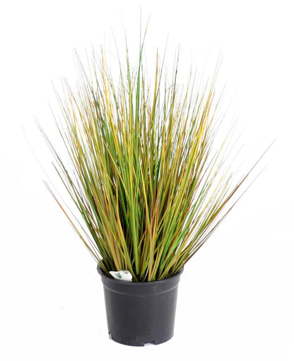 Plante artificielle Herbe Onion Grass GF - décoration d'intérieur - H.50cm vert jaune