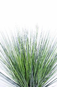 Plante artificielle Herbe Onion Grass Round - intérieur - H.60cm vert foncé