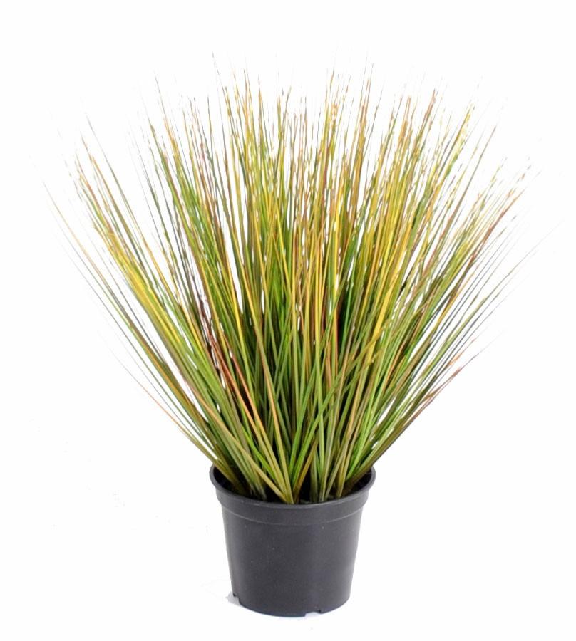 Plante artificielle Herbe Onion Grass Round - intérieur - H.60cm vert jaune