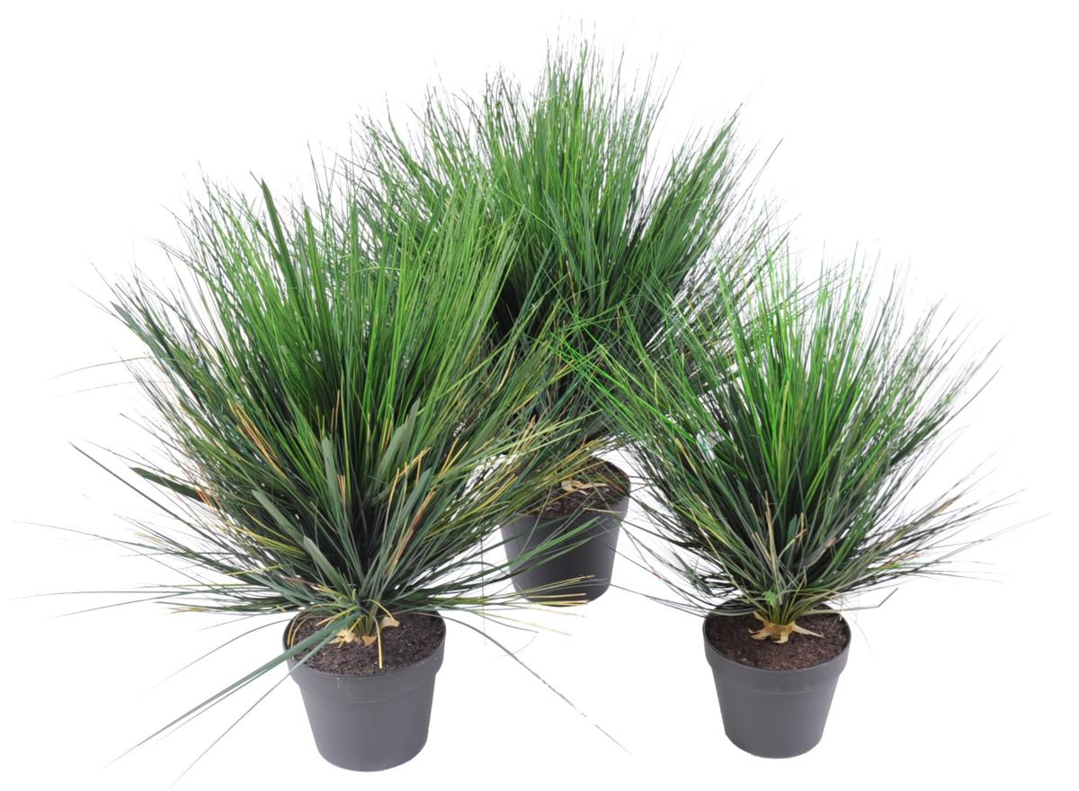 Plante artificielle Herbe Onion Grass Round en pot - intérieur - H.70cm vert