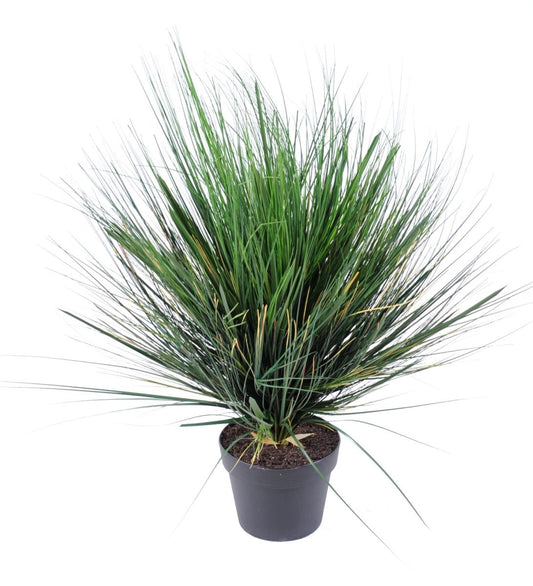 Plante artificielle Herbe Onion Grass Round en pot - intérieur - H.70cm vert