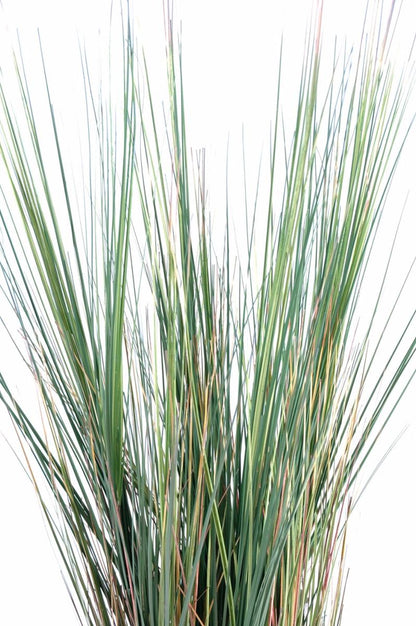 Plante artificielle Herbe luxe Onion Grass en pot - intérieur - H. 95cm vert jaune