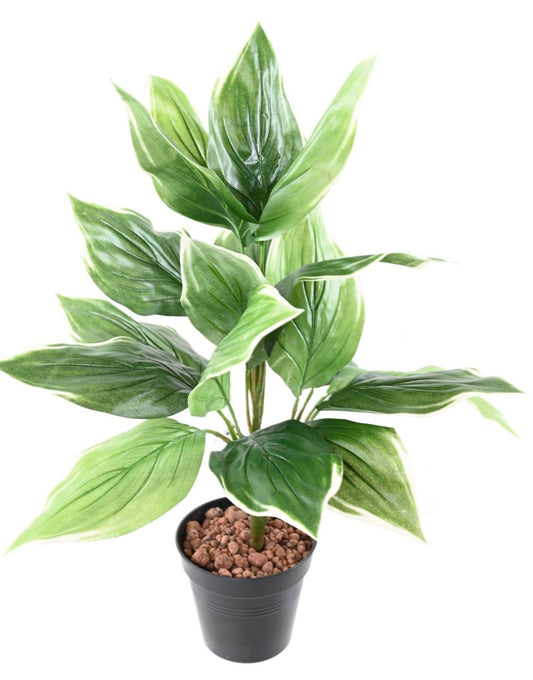 Plante artificielle Hosta en piquet -plante d'intérieur - H.60cm vert blanc