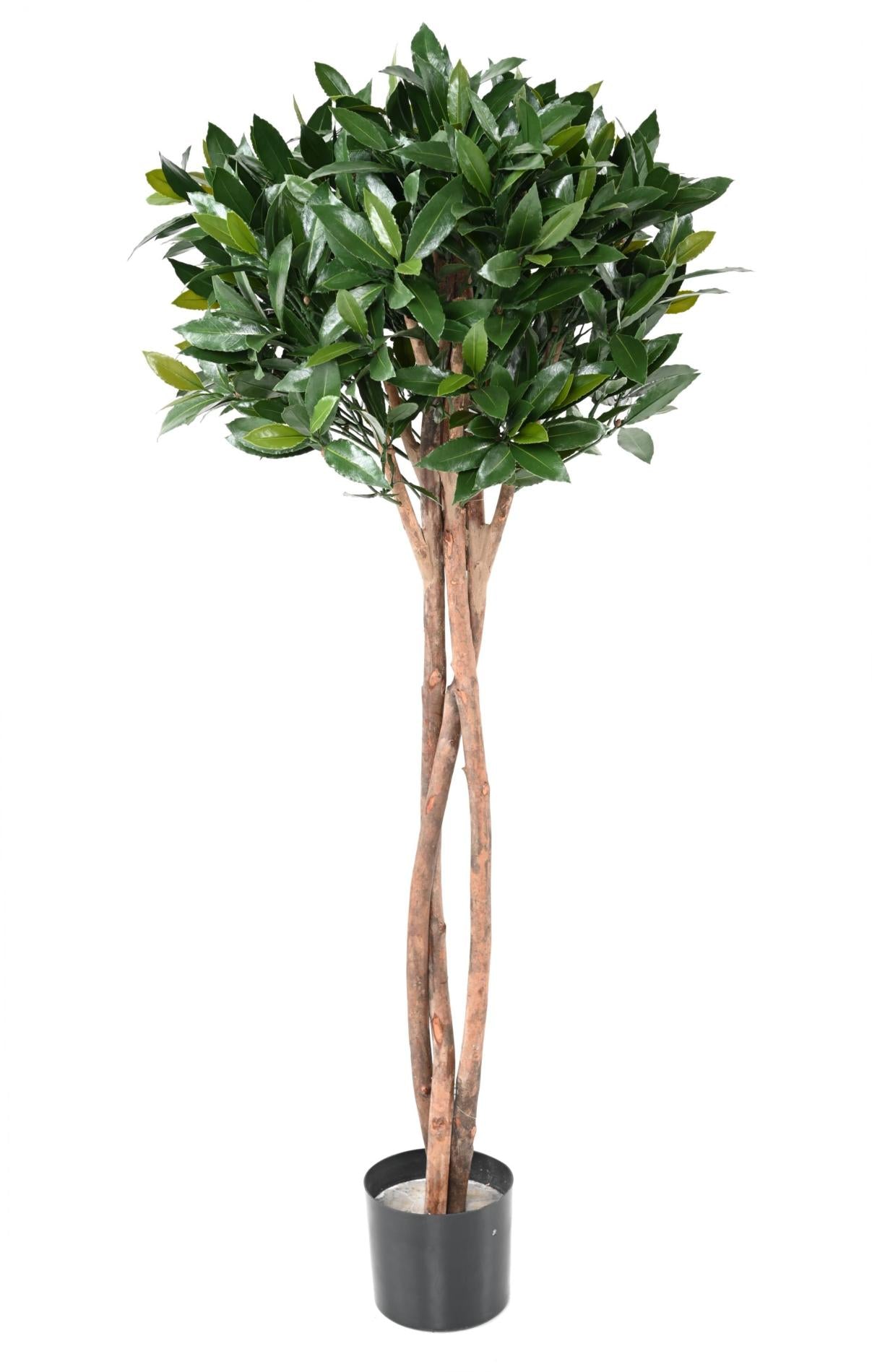 Plante artificielle Laurier Nobilis UV résistant - intérieur extérieur - H.130cm vert