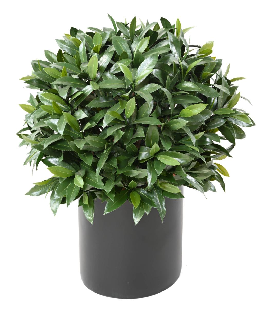 Plante artificielle Laurier boule Nobilis - feuillage UV résistant - H.70cm