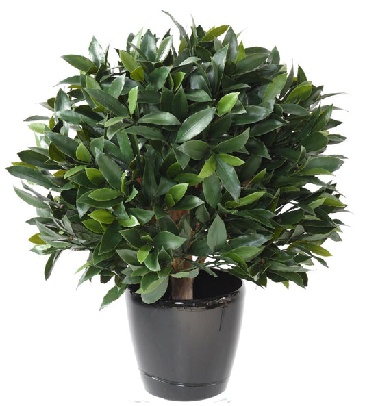 Plante artificielle Laurier boule - feuillage UV résistant - H.65cm vert