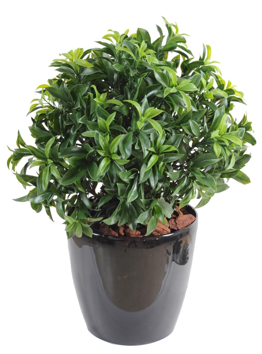 Plante artificielle Laurier buisson - feuillage UV résistant - H.55cm vert