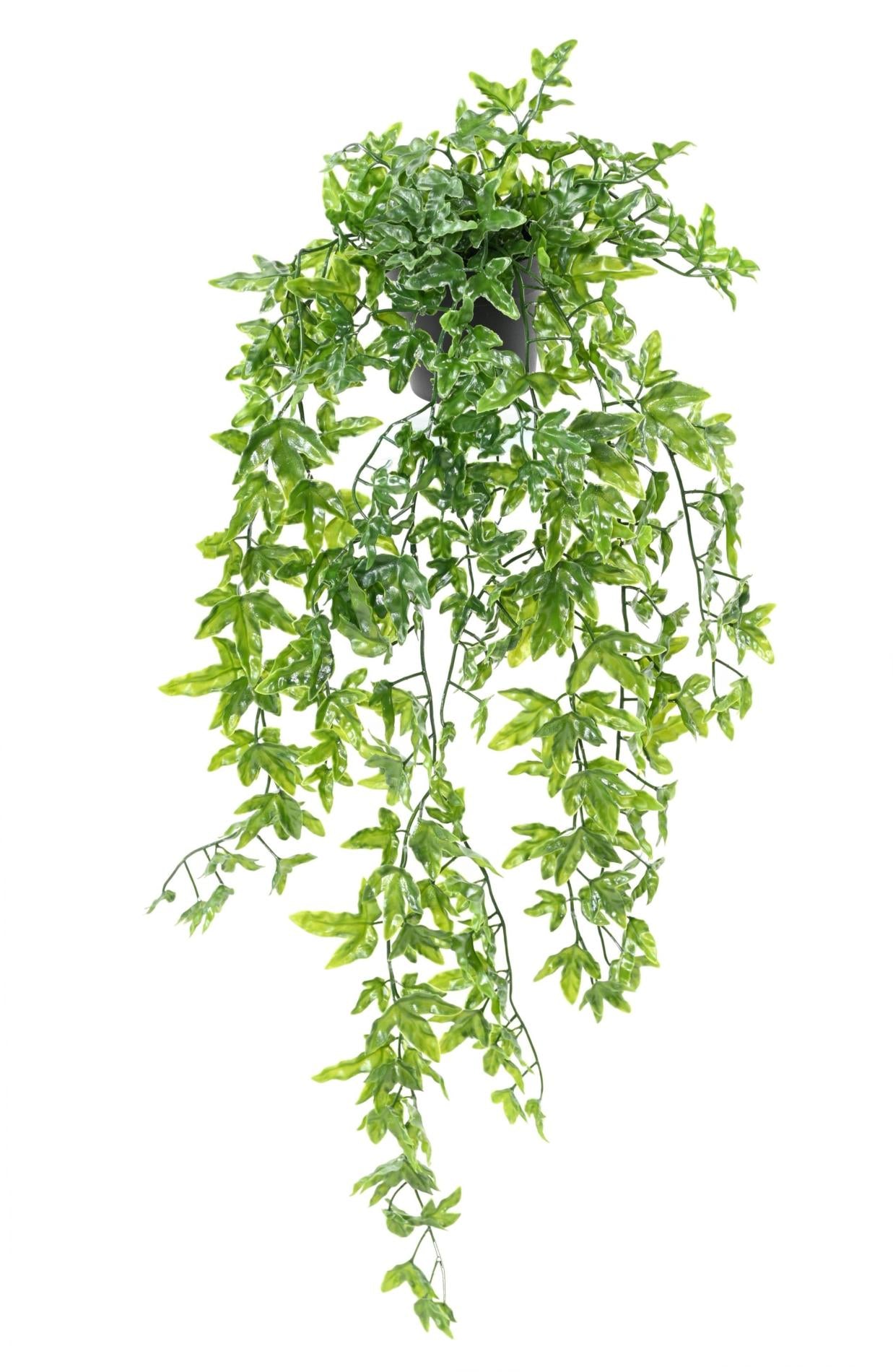 Plante artificielle Lierre en pot - Plastique UV extérieur - H.68cm vert