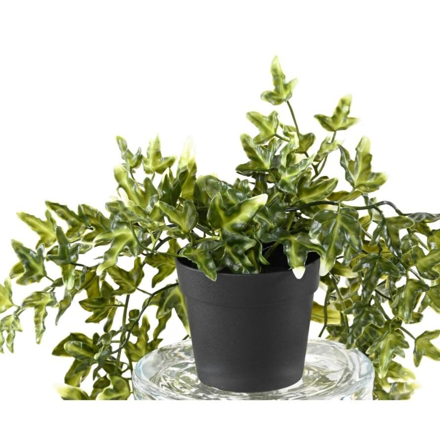 Plante artificielle Lierre en pot - Plastique UV extérieur - H.70cm panaché