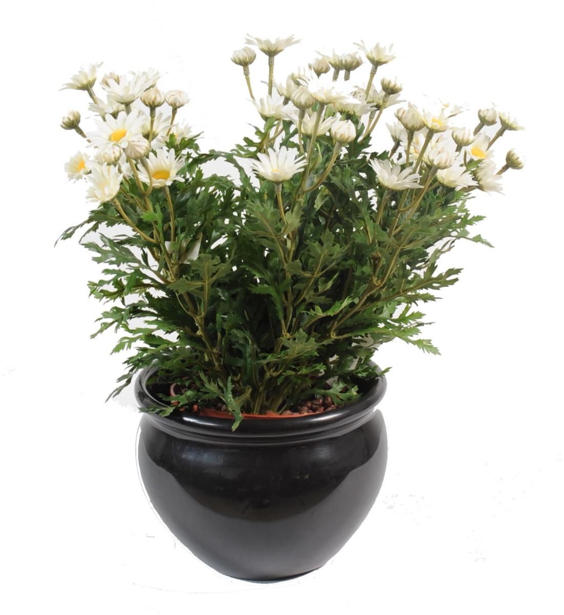 Plante artificielle Marguerite Anthemis - plante d'intérieur - H.40cm Blanc