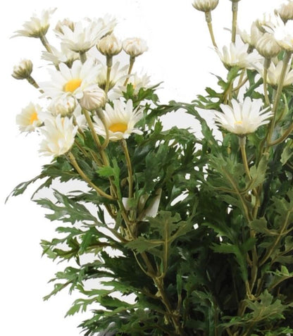 Plante artificielle Marguerite Anthemis - plante d'intérieur - H.40cm Blanc