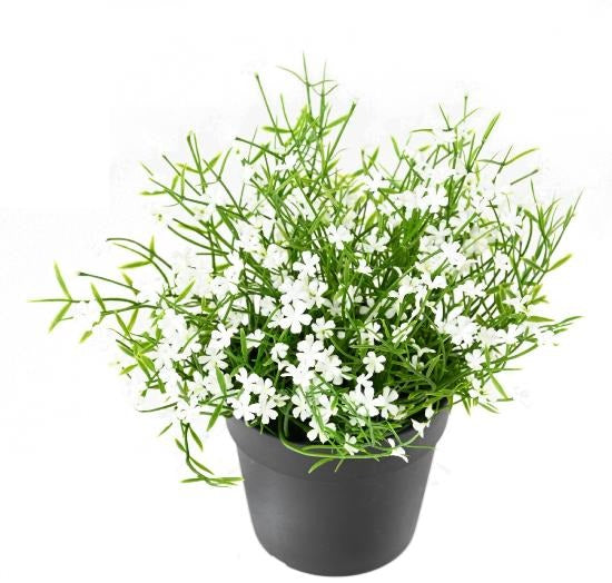 Plante artificielle Marguerite mini en pot - plante fleurie d'extérieur - H.20cm