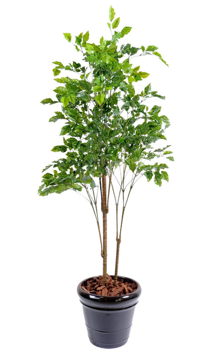 Plante artificielle Palissandre résistant UV - décoration d'extérieur - H.175cm vert