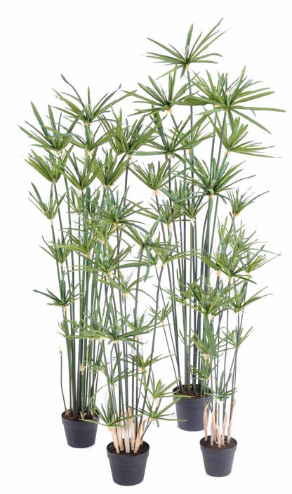 Plante artificielle Papyrus Alternifolius en pot - intérieur - H. 100cm vert