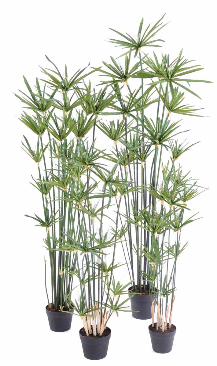 Plante artificielle Papyrus Alternifolius en pot - intérieur - H.180cm vert