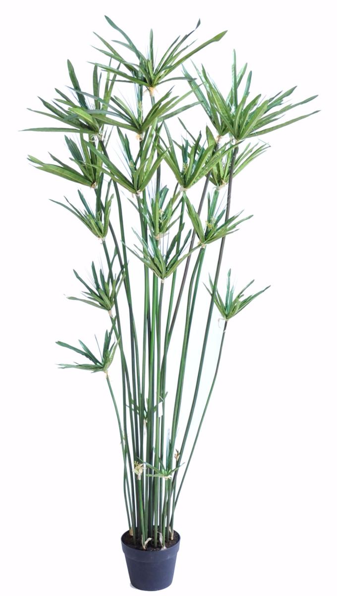 Plante artificielle Papyrus Alternifolius en pot - intérieur - H. 150cm vert