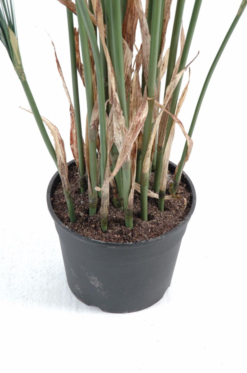 Plante artificielle Papyrus Cyperus du Nil en pot - intérieur - H. 155cm vert