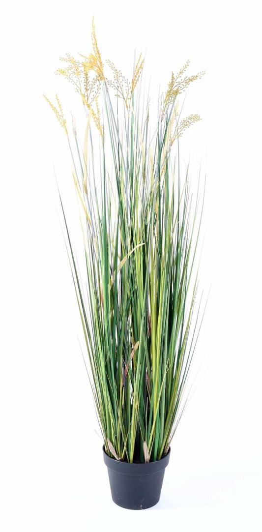 Plante artificielle Papyrus Scirpus Validus fleuri en pot - intérieur - H. 120cm