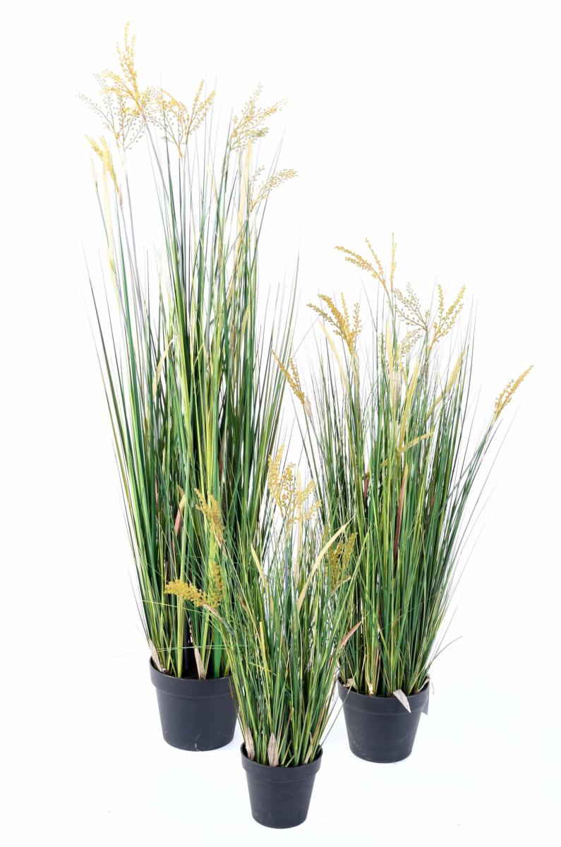 Plante artificielle Papyrus Scirpus Validus fleuri en pot - intérieur - H. 120cm