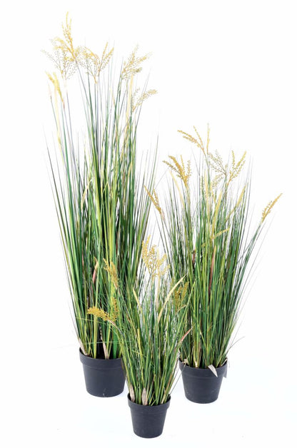 Plante artificielle Papyrus Scirpus Validus fleuri en pot - intérieur - H. 120cm