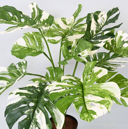 Plante artificielle Philodendron 13F - plante d'intérieur - H.75cm panaché