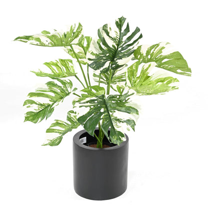 Plante artificielle Philodendron 13F - plante d'intérieur - H.75cm panaché